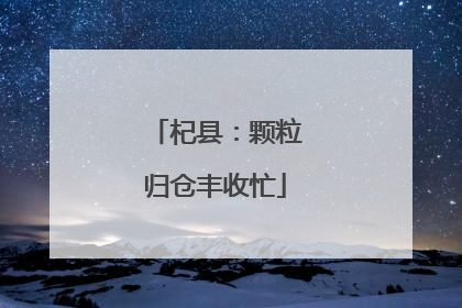 杞县：颗粒归仓丰收忙