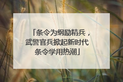 条令为纲励精兵，武警官兵掀起新时代条令学用热潮