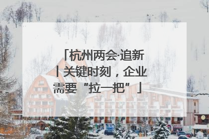 杭州两会·追新丨关键时刻，企业需要“拉一把”