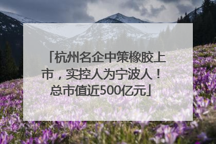 杭州名企中策橡胶上市，实控人为宁波人！总市值近500亿元