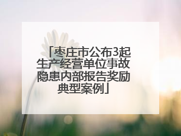 枣庄市公布3起生产经营单位事故隐患内部报告奖励典型案例