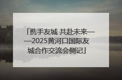 携手友城 共赴未来——2025黄河口国际友城合作交流会侧记