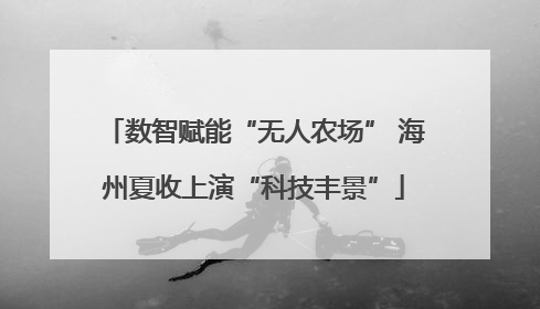 数智赋能“无人农场” 海州夏收上演“科技丰景”