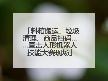 料箱搬运、垃圾清理、商品扫码……直击人形机器人技能大赛现场