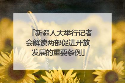 新疆人大举行记者会解读两部促进开放发展的重要条例