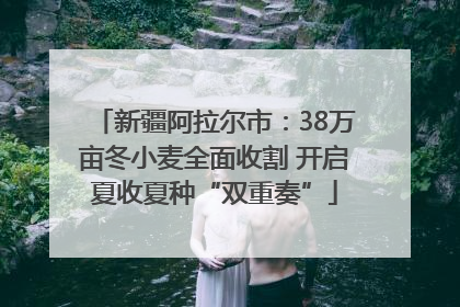 新疆阿拉尔市：38万亩冬小麦全面收割 开启夏收夏种“双重奏”