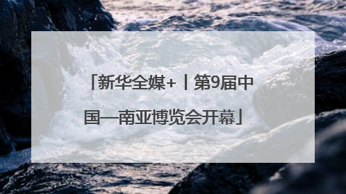 新华全媒+丨第9届中国—南亚博览会开幕