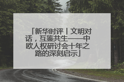 新华时评丨文明对话，互鉴共生——中欧人权研讨会十年之路的深刻启示