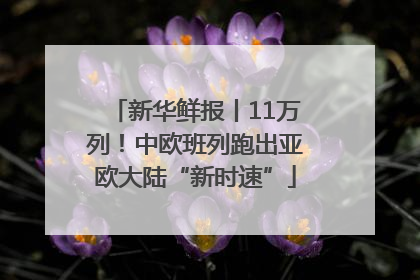 新华鲜报丨11万列！中欧班列跑出亚欧大陆“新时速”