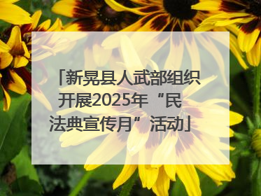 新晃县人武部组织开展2025年“民法典宣传月”活动