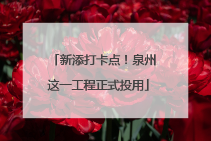 新添打卡点！泉州这一工程正式投用