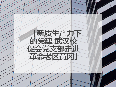 新质生产力下的党建 武汉校促会党支部走进革命老区黄冈
