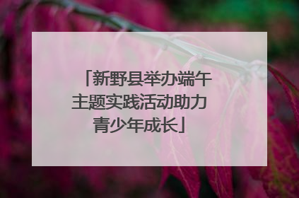 新野县举办端午主题实践活动助力青少年成长
