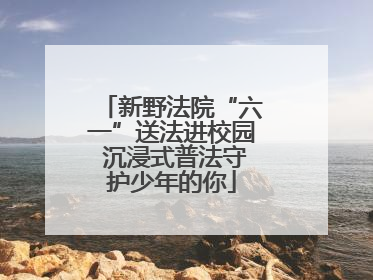 新野法院“六一”送法进校园 沉浸式普法守护少年的你