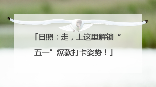 日照：走，上这里解锁“五一”爆款打卡姿势！