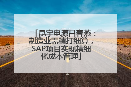 昆宇电源吕春燕：制造业需精打细算，SAP项目实现精细化成本管理