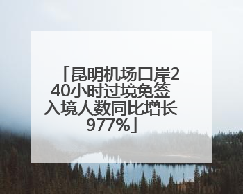 昆明机场口岸240小时过境免签入境人数同比增长977%