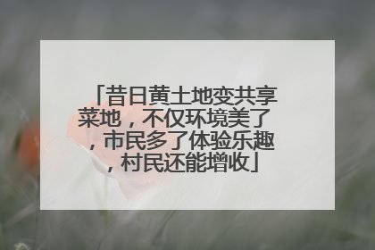 昔日黄土地变共享菜地，不仅环境美了，市民多了体验乐趣，村民还能增收