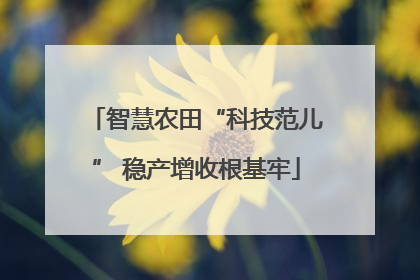 智慧农田“科技范儿” 稳产增收根基牢