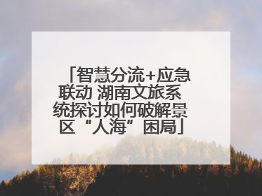 智慧分流+应急联动 湖南文旅系统探讨如何破解景区“人海”困局