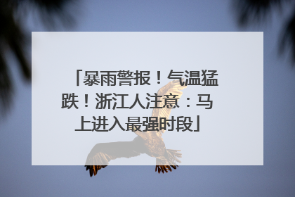 暴雨警报！气温猛跌！浙江人注意：马上进入最强时段