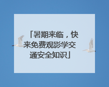 暑期来临，快来免费观影学交通安全知识