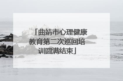 曲靖市心理健康教育第二次巡回培训圆满结束