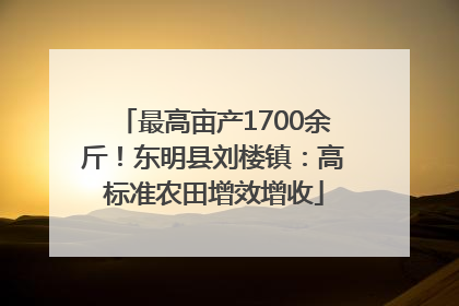 最高亩产1700余斤！东明县刘楼镇：高标准农田增效增收