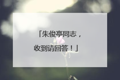朱俊亭同志，收到请回答！