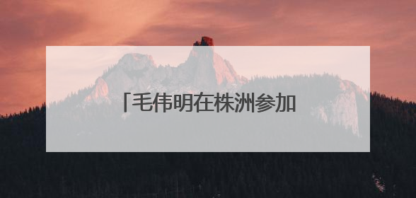毛伟明在株洲参加省人大代表小组调研北斗产业主题活动