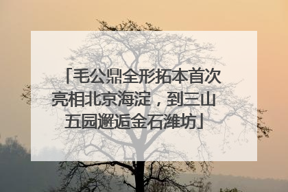 毛公鼎全形拓本首次亮相北京海淀，到三山五园邂逅金石潍坊