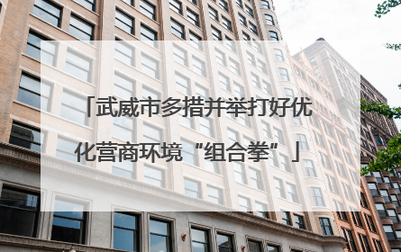 武威市多措并举打好优化营商环境“组合拳”
