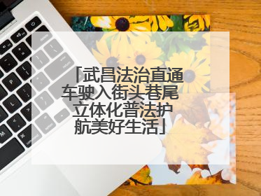 武昌法治直通车驶入街头巷尾 立体化普法护航美好生活