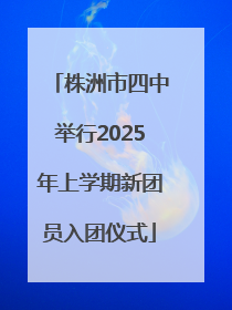 株洲市四中举行2025年上学期新团员入团仪式