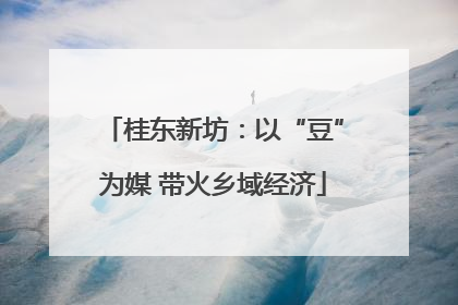 桂东新坊：以“豆”为媒 带火乡域经济