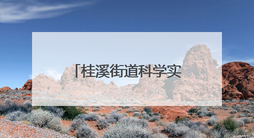 桂溪街道科学实验秀活动助力传统商圈焕新升级