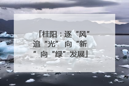 桂阳：逐“风”追“光” 向“新”向“绿”发展