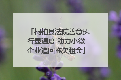 桐柏县法院善意执行显温度 助力小微企业追回拖欠租金