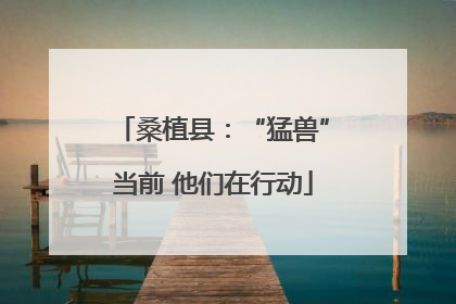桑植县：“猛兽”当前 他们在行动