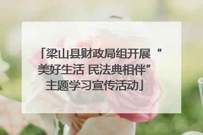 梁山县财政局组开展“美好生活 民法典相伴”主题学习宣传活动