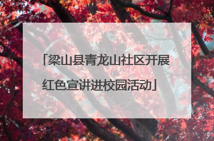 梁山县青龙山社区开展红色宣讲进校园活动