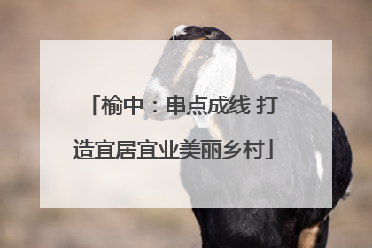 榆中：串点成线 打造宜居宜业美丽乡村