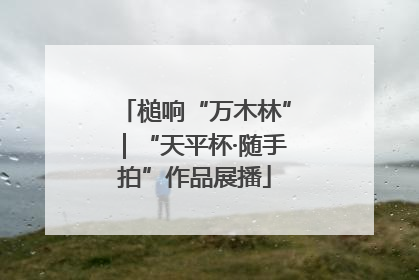 槌响“万木林”｜“天平杯·随手拍”作品展播