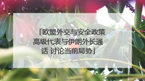欧盟外交与安全政策高级代表与伊朗外长通话 讨论当前局势