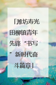 潍坊寿光田柳镇青年先锋“书写”新时代奋斗篇章
