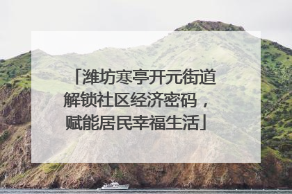 潍坊寒亭开元街道解锁社区经济密码，赋能居民幸福生活