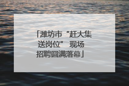 潍坊市“赶大集 送岗位” 现场招聘圆满落幕