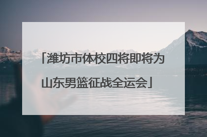 潍坊市体校四将即将为山东男篮征战全运会