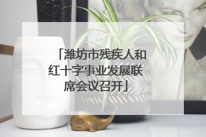潍坊市残疾人和红十字事业发展联席会议召开