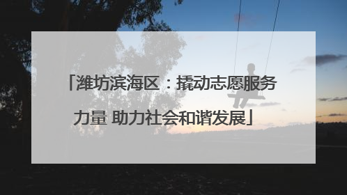 潍坊滨海区：撬动志愿服务力量 助力社会和谐发展